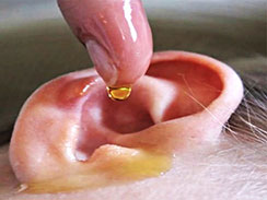 Do This To End Tinnitus (Ear Ringing) In 7 Days - Watch