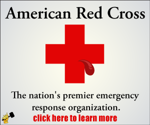Red Cross 300x250